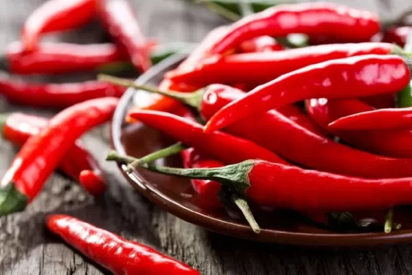 2 easy steps to keep chili fresh for months.